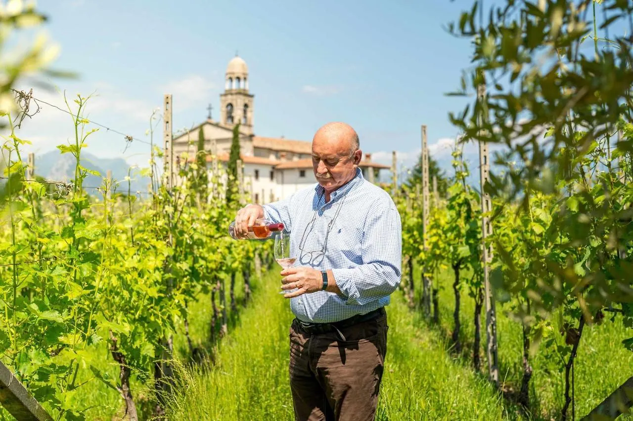 Palazzo Trevignane Appartamento La Grande Cucina San Felice del Benaco